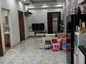 Bán căn hộ chung cư Gemek 1